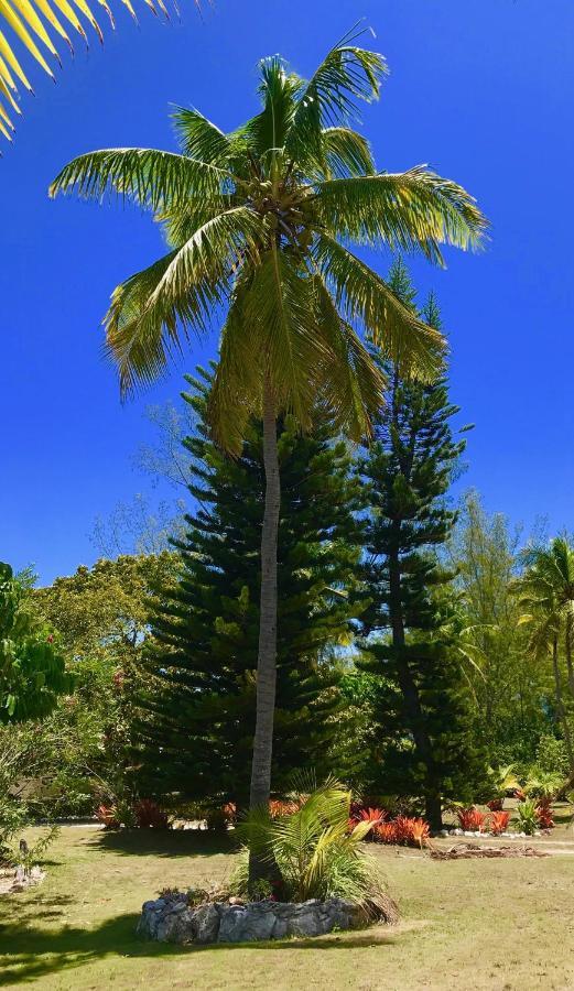 Poponi Cottage Cottage North Palmetto Point Esterno foto